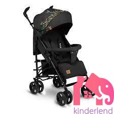 LIONELO IRMA DREAMING